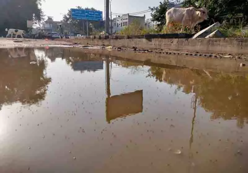 इस साल अब तक Malaria के 71 मामले, पिछले साल की तुलना में दोगुने से भी ज़्यादा इस साल अब तक Malaria के 71 मामले, पिछले साल की तुलना में दोगुने से भी ज़्यादा
