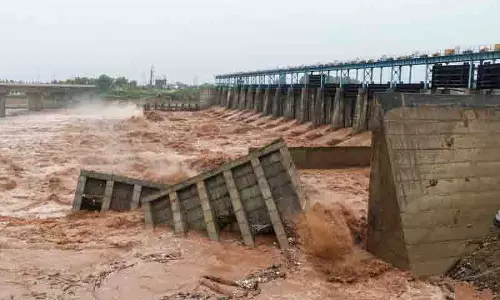 Punjab: 27 अगस्त को बाढ़ का दरवाज़ा ढहने के मामले में 3 लोग निलंबित