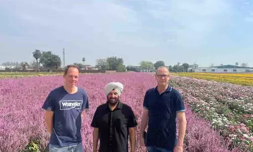 PAU की दूरदर्शिता और इसके पूर्व छात्रों के जुनून ने लैंगरियन को पुष्पकृषि मानचित्र पर ला खड़ा किया PAU की दूरदर्शिता और इसके पूर्व छात्रों के जुनून ने लैंगरियन को पुष्पकृषि मानचित्र पर ला खड़ा किया