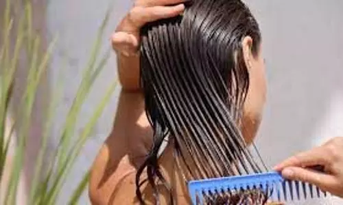 Hair Care  : रूखे और टूटने वाले बालों को कहें अलविदा, अपनाएं ये आसान मानसून हेयर टिप्स
