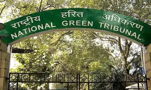 NGT ने अवैध पेड़ों की कटाई पर कार्रवाई में देरी पर जिला अधिकारियों को फटकार लगाई NGT ने अवैध पेड़ों की कटाई पर कार्रवाई में देरी पर जिला अधिकारियों को फटकार लगाई