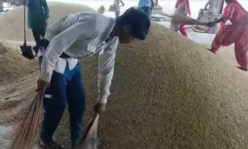 किसानों को बड़ी राहत, हरियाणा में धान की खरीद सोमवार से होगी शुरू