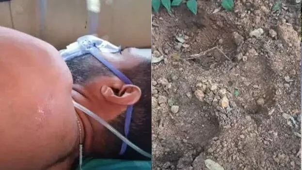 kerala: स्कूटर सवार पर हाथी ने किया हमला, घायल को अस्पताल में भर्ती kerala: स्कूटर सवार पर हाथी ने किया हमला, घायल को अस्पताल में भर्ती