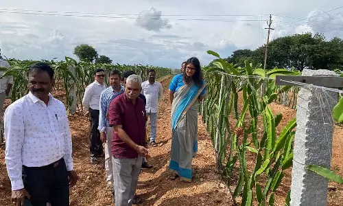 परियोजनाओं का प्रभावी कार्यान्वयन: राष्ट्रीय निगरानी दल संतुष्ट