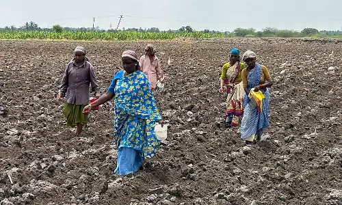 Chamarajanagar : मानसून की बारिश की कमी से बुवाई में बाधा Chamarajanagar : मानसून की बारिश की कमी से बुवाई में बाधा