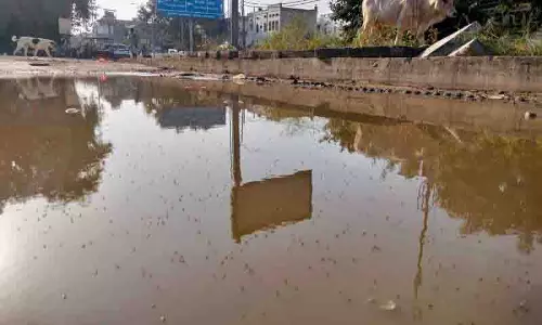 इस साल अब तक Malaria के 71 मामले, पिछले साल की तुलना में दोगुने से भी ज़्यादा इस साल अब तक Malaria के 71 मामले, पिछले साल की तुलना में दोगुने से भी ज़्यादा