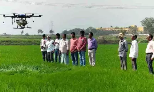 Karimnagar: यूरिया संकट के बीच नैनो यूरिया की मांग से ड्रोन किराया बढ़ा