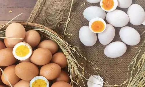 क्या मधुमेह रोगी अंडे खा सकते हैं? किसे अंडे नहीं खाने चाहिए? क्या मधुमेह रोगी अंडे खा सकते हैं? किसे अंडे नहीं खाने चाहिए?