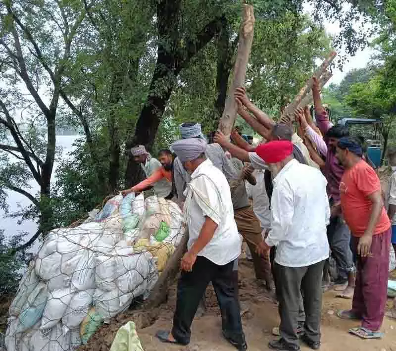 Jalandhar: बाढ़ के बाद बांधों की मरम्मत और राहत कार्य जारी Jalandhar: बाढ़ के बाद बांधों की मरम्मत और राहत कार्य जारी