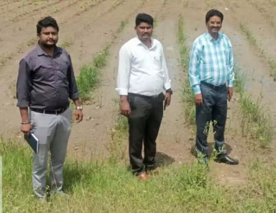 Yadgir : समृद्धि की बारिश फसलों पर कहर लेकर आई Yadgir : समृद्धि की बारिश फसलों पर कहर लेकर आई