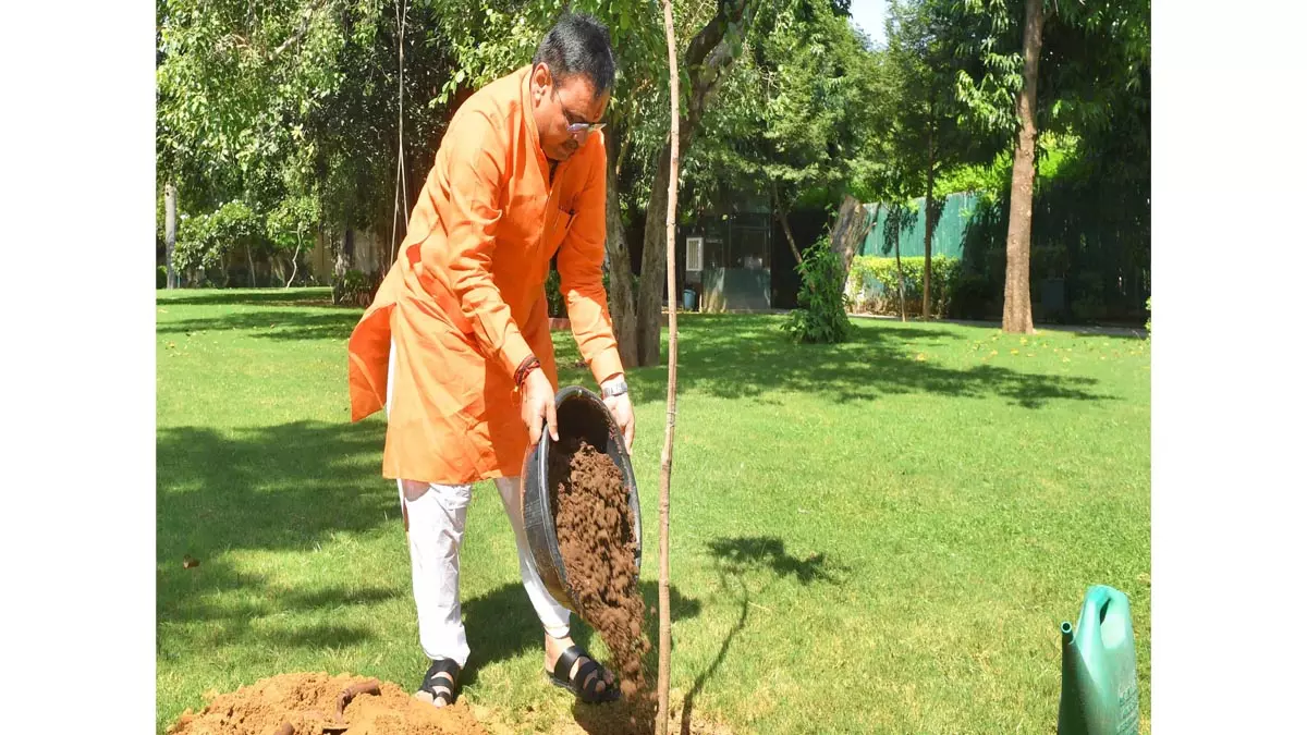 Jaipur: मुख्यमंत्री ने आमजन को अधिक से अधिक पेड़ लगाने का किया आग्रह Jaipur: मुख्यमंत्री ने आमजन को अधिक से अधिक पेड़ लगाने का किया आग्रह