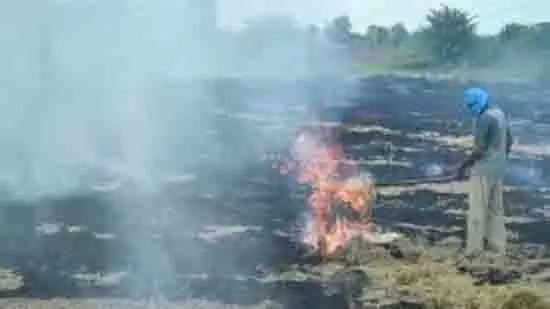 Punjab: बरनाला में पराली न जलाने पर 7 लाख रुपये का इनाम Punjab: बरनाला में पराली न जलाने पर 7 लाख रुपये का इनाम