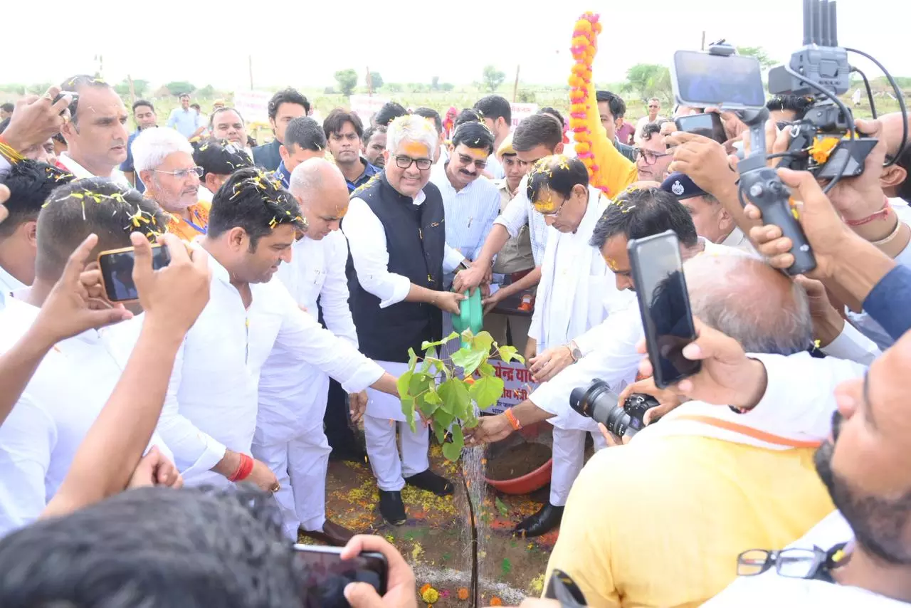 Jaipur: हरियालो राजस्थान अभियान के तहत डिग्गी में लगाए गए 25 हजार पौधें Jaipur: हरियालो राजस्थान अभियान के तहत डिग्गी में लगाए गए 25 हजार पौधें