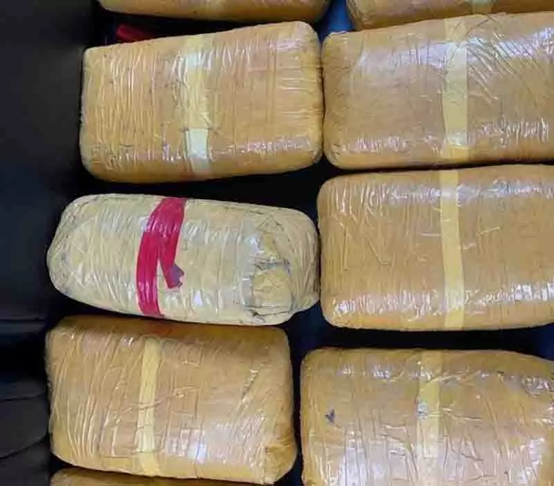 सीमा पार तस्करी में बढ़ोतरी के बीच सितंबर में 90 kg हेरोइन जब्त सीमा पार तस्करी में बढ़ोतरी के बीच सितंबर में 90 kg हेरोइन जब्त
