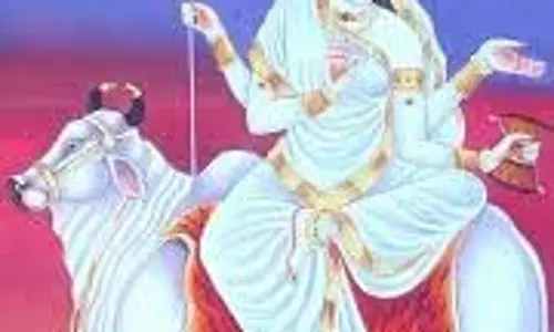 Navratri 2025 Day 1 Maa Shailputri Bhog: नवरात्रि के पहले दिन मां शैलपुत्री को लगाएं भोग Navratri 2025 Day 1 Maa Shailputri Bhog: नवरात्रि के पहले दिन मां शैलपुत्री को लगाएं भोग