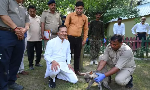 Haryana : पिपली चिड़ियाघर को पर्यटन स्थल में बदलने के लिए काम करेंगे जिंदल Haryana : पिपली चिड़ियाघर को पर्यटन स्थल में बदलने के लिए काम करेंगे जिंदल