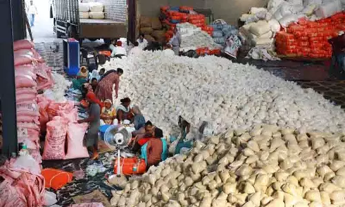 बाढ़ प्रभावित Punjab में सेवा, धन और राजनीति