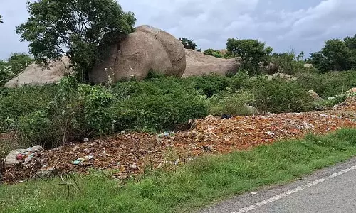 टमाटर मंडी: कचरा निपटान के लिए कोई जगह नहीं टमाटर मंडी: कचरा निपटान के लिए कोई जगह नहीं
