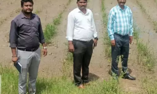 Yadgir : समृद्धि की बारिश फसलों पर कहर लेकर आई