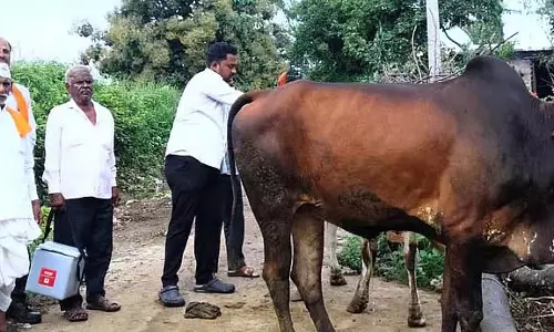 Kamalanagar : त्वचा कैंसर के खिलाफ टीका लगाया गया Kamalanagar : त्वचा कैंसर के खिलाफ टीका लगाया गया