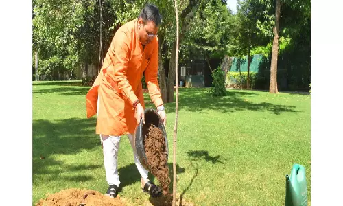 Jaipur: मुख्यमंत्री ने आमजन को अधिक से अधिक पेड़ लगाने का किया आग्रह