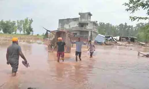 Punjab: सुखबीर ने फसल नुकसान के लिए तत्काल मुआवजा मांगा