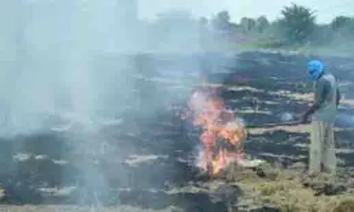 Punjab: बरनाला में पराली न जलाने पर 7 लाख रुपये का इनाम