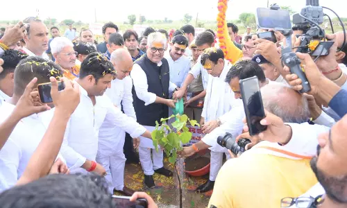 Jaipur: हरियालो राजस्थान अभियान के तहत डिग्गी में लगाए गए 25 हजार पौधें Jaipur: हरियालो राजस्थान अभियान के तहत डिग्गी में लगाए गए 25 हजार पौधें