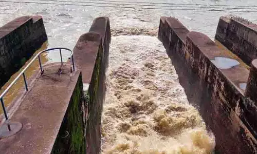 Himachal: पौंग बांध के जलस्तर में गिरावट