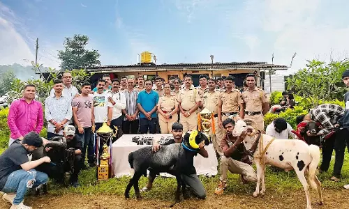 रायगढ़ पुलिस ने अवैध भेड़ लड़ाई जुआ रैकेट का भंडाफोड़ किया; 77 आरोपियों के खिलाफ मामला दर्ज