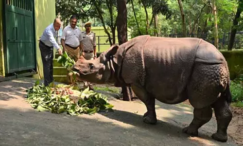 पटना चिड़ियाघर बना गैंडा संरक्षण का केंद्र, विश्व में दूसरा स्थान