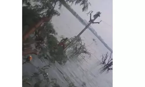 बारिश में भी तालाब में तैरना और बिजली बहाल करना बारिश में भी तालाब में तैरना और बिजली बहाल करना