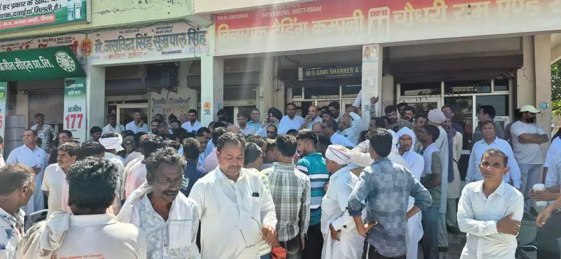 Sirsa के कपास किसानों ने मिलों में मूल्य कटौती का विरोध किया, नीलामी रोकी Sirsa के कपास किसानों ने मिलों में मूल्य कटौती का विरोध किया, नीलामी रोकी