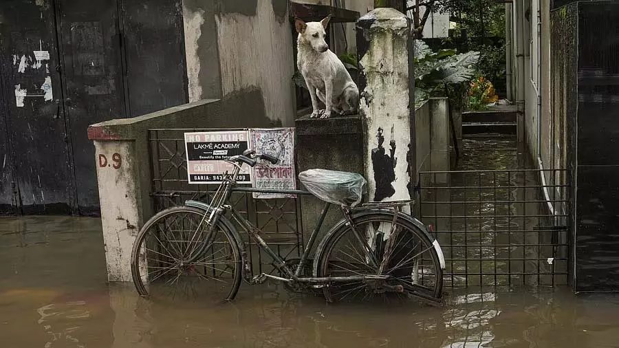 Kolkata में भारी बारिश के कारण 30 से अधिक उड़ानें रद्द Kolkata में भारी बारिश के कारण 30 से अधिक उड़ानें रद्द
