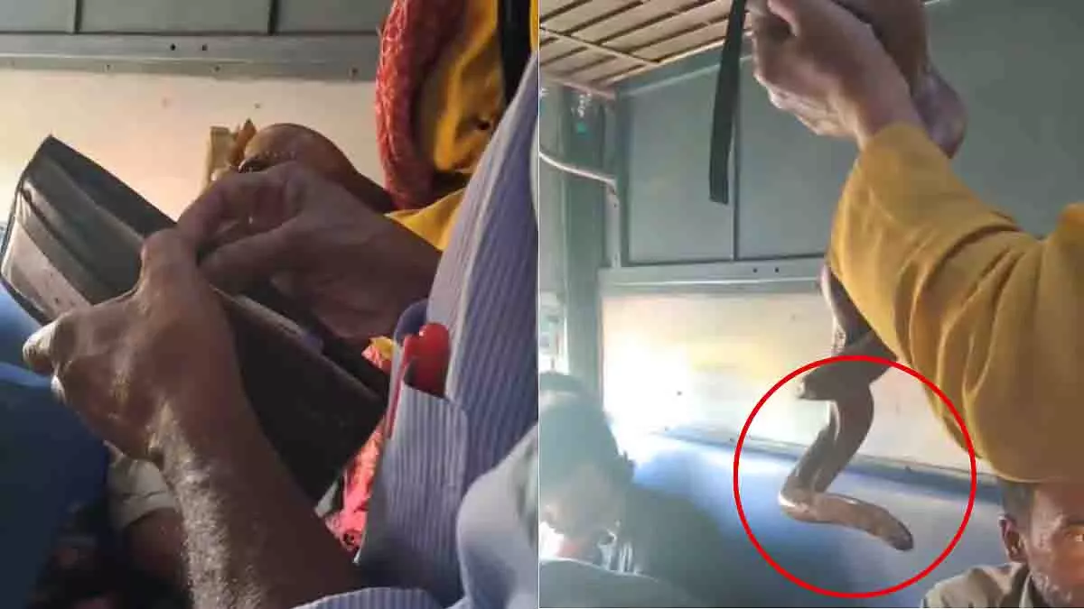Ahmedabad: ट्रेन में शख्स ने सांप के जरिए यात्रियों से पैसे वसूले Ahmedabad: ट्रेन में शख्स ने सांप के जरिए यात्रियों से पैसे वसूले