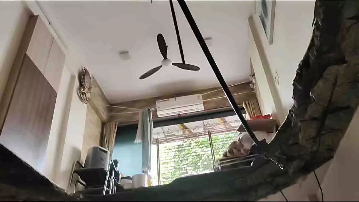 Borivali: आवासीय इमारत में पहली मंजिल का स्लैब गिरने से 2 निवासी घायल Borivali: आवासीय इमारत में पहली मंजिल का स्लैब गिरने से 2 निवासी घायल