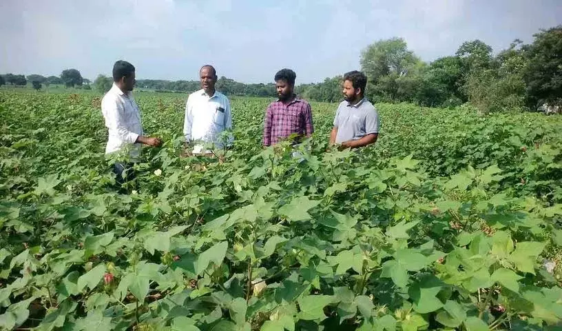 फसल की खेती का विवरण पंजीकृत किया जाना चाहिए: Avo Naresh फसल की खेती का विवरण पंजीकृत किया जाना चाहिए: Avo Naresh