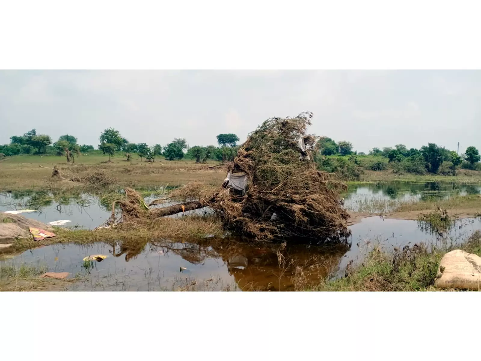 महाराष्ट्र में भारी बारिश, NDRF ने मराठवाड़ा जिलों में 300 से अधिक लोगों को बचाया महाराष्ट्र में भारी बारिश, NDRF ने मराठवाड़ा जिलों में 300 से अधिक लोगों को बचाया