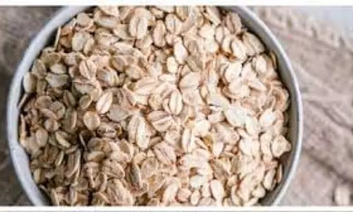 Recipe:सुबह नाश्ते में खाएं ओट्स की ये लाजवाब रेसिपी Recipe:सुबह नाश्ते में खाएं ओट्स की ये लाजवाब रेसिपी