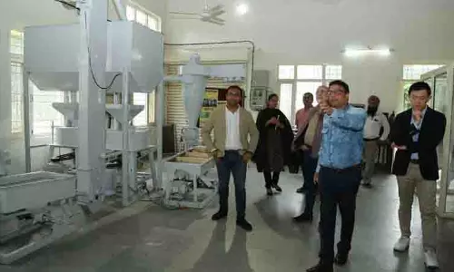 कपास, करियर, सहयोग, UNIQLO की PAU के साथ साझेदारी पर नज़र