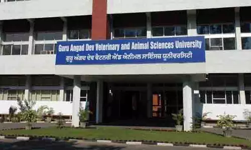 पशु चिकित्सा University ने फैरीरी संस्थान की स्थापना के लिए ब्रुक अस्पताल के साथ सहयोग किया