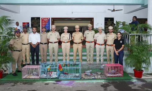 कर्जत पुलिस ने विदेशी पक्षी चोरी का मामला सुलझाया, चेन्नई से ₹11.25 लाख के तोते बरामद कर्जत पुलिस ने विदेशी पक्षी चोरी का मामला सुलझाया, चेन्नई से ₹11.25 लाख के तोते बरामद