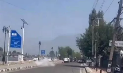 Srinagar:  प्रसिद्ध डल झील के किनारे अचनाक से हड़कंप,इधर-उधर भागे लोग