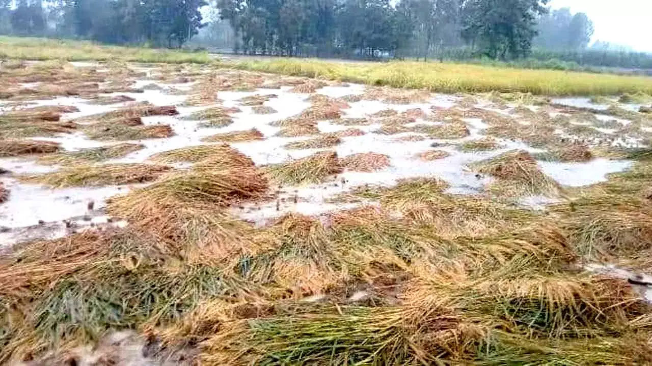 West Medinipur: जलप्रवाह रुकने से किसान चिंतित West Medinipur: जलप्रवाह रुकने से किसान चिंतित