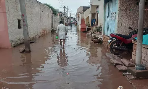 Badami: बिजली गिरने से बैल की मौत