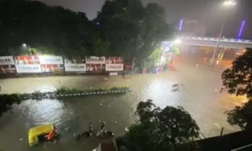 Bengal सरकार ने निर्धारित समय से दो दिन पहले स्कूलों में पूजा की छुट्टियां घोषित कर दीं Bengal सरकार ने निर्धारित समय से दो दिन पहले स्कूलों में पूजा की छुट्टियां घोषित कर दीं