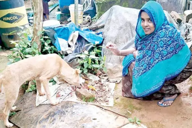 Kerala में बचाया गया आवारा कुत्ता अपने उद्धारकर्ता के पास वापस लौटा, दिल को छू लेने वाला पुनर्मिलन Kerala में बचाया गया आवारा कुत्ता अपने उद्धारकर्ता के पास वापस लौटा, दिल को छू लेने वाला पुनर्मिलन