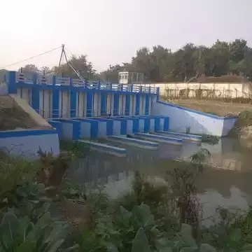 West Medinipur: बांध टूटने से प्रभावित हुई धान की फसल