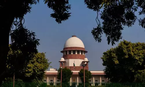 पालतू जानवरों के विवाद का दिल्ली HC का अनोखा समाधान: बच्चों के लिए पिज्जा और छाछ पालतू जानवरों के विवाद का दिल्ली HC का अनोखा समाधान: बच्चों के लिए पिज्जा और छाछ