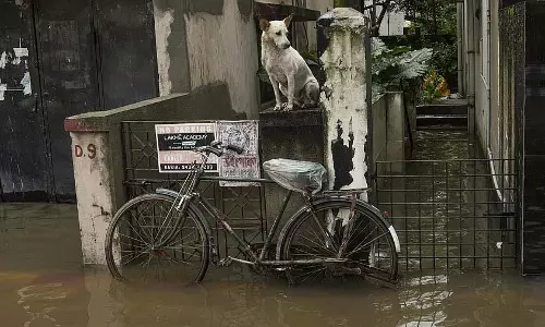Kolkata में भारी बारिश के कारण 30 से अधिक उड़ानें रद्द